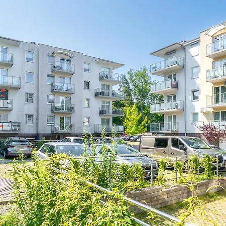 Lesne Tarasy, Sun & Snow Дзивновек